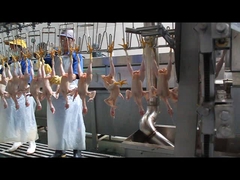 สูตรสกัด