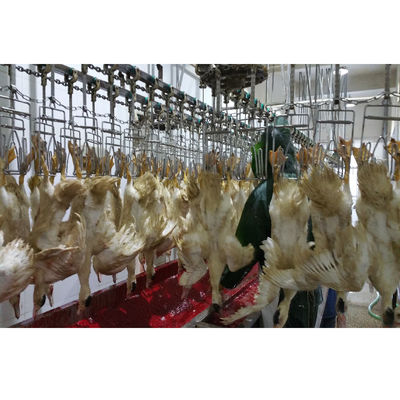 อุปกรณ์เครื่องฆ่าไก่ไก่มืออาชีพ
