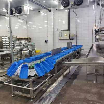 เครื่องประเมินน้ําหนักไก่ 500 - 12000BPH สําหรับการผลิตโรงฆ่าสัตว์