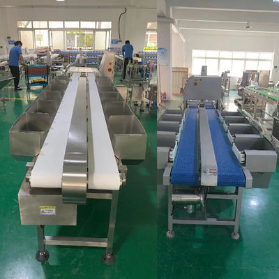เครื่องประเมินน้ําหนักแบบเข็มขัด / ตู้ สําหรับการผลิตโรงฆ่าตามความต้องการ