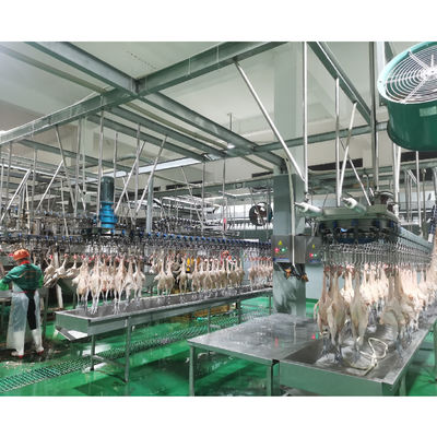 การผลิตโรงงานแปรรูปเนื้อนกด้วยฟังก์ชันการเผาไหม้ 380V