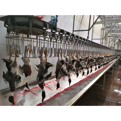 สายการผลิตการฆ่าไก่จากเหล็กไร้ขัด สําหรับความสามารถในการผลิตที่แตกต่างกัน