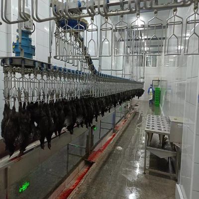 3400KG อุปกรณ์โรงฆ่านกฮาลาล ตุรกี เป็ด ไก่ไก่แปรรูป