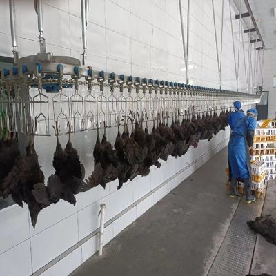 เครื่องทําความร้อนไฟฟ้า เครื่องทําความร้อนไก่อัตโนมัติ สําหรับสายฆ่า
