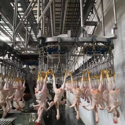 220V / 380V อัตโนมัติ เครื่องฆ่า ไก่ ฆ่าสายการประมวลผล
