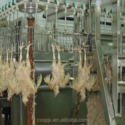 เครื่องแปรรูปนกไก่ความดัน 380V/220V สําหรับการตัดไก่และการฆ่าฮาลาล