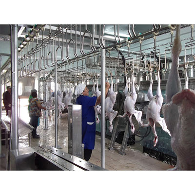 สายขนส่งเลือดไก่ 200BPH - 10000BPH ความจุสําหรับฟาร์ม
