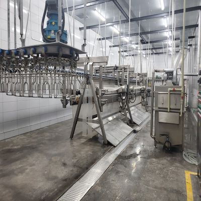 6000bph Poultry Slaughter Line โรงฆ่าสัตว์เพื่อเพิ่มผลผลิต