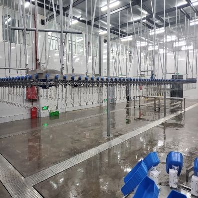 500 Bph ไก่การฆ่าสาย 220V / 380V ไก่ Plucker เครื่อง